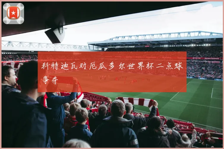 科特迪瓦对厄瓜多尔世界杯二点球争夺
