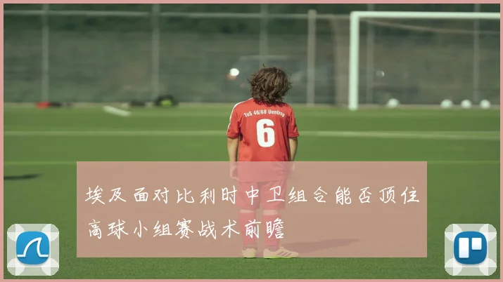 埃及面对比利时中卫组合能否顶住高球小组赛战术前瞻